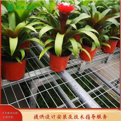 邵阳大棚苗床设备生产厂家 移动式养花苗床安装调试的专业服务